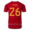 Camiseta de fútbol España PEDRI 26 Primera Equipación Mundial 2022 - Hombre